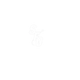 SFG